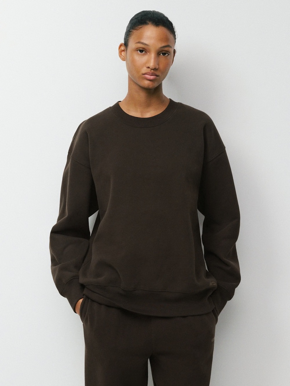 BNWT ARITZIA $100 Crewneck Sweatfleece Sweater